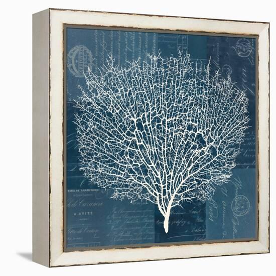 Document Sea Fern 2-Z Studio-Framed Stretched Canvas