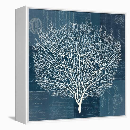 Document Sea Fern 2-Z Studio-Framed Stretched Canvas