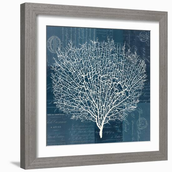 Document Sea Fern 2-Z Studio-Framed Art Print