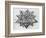 Dodecahedron, from "De Divina Proportione" by Luca Pacioli, Published 1509, Venice-Leonardo da Vinci-Framed Giclee Print