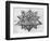 Dodecahedron, from "De Divina Proportione" by Luca Pacioli, Published 1509, Venice-Leonardo da Vinci-Framed Giclee Print