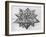 Dodecahedron, from "De Divina Proportione" by Luca Pacioli, Published 1509, Venice-Leonardo da Vinci-Framed Giclee Print