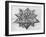 Dodecahedron, from "De Divina Proportione" by Luca Pacioli, Published 1509, Venice-Leonardo da Vinci-Framed Giclee Print