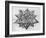 Dodecahedron, from "De Divina Proportione" by Luca Pacioli, Published 1509, Venice-Leonardo da Vinci-Framed Giclee Print