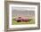 Dodge Challenger TA 1970-Simon Clay-Framed Photographic Print