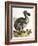 Dodo and Guinea Pig, 1750-George Edwards-Framed Giclee Print