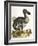 Dodo and Guinea Pig, 1750-George Edwards-Framed Giclee Print