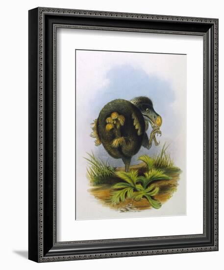 Dodo Extinct Bird-null-Framed Art Print