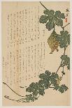 Bitter Melon, 1825-Dodo Hirotoshi-Giclee Print