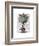 Dodo in Teacup with Dragonflies-Fab Funky-Framed Art Print