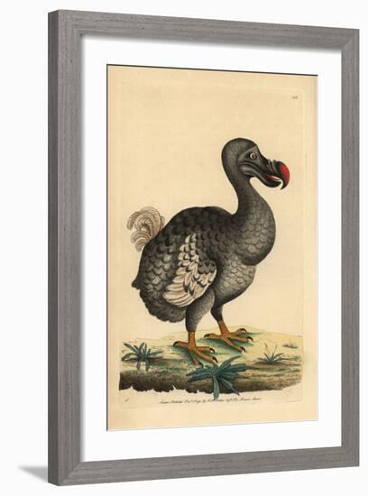 Dodo-null-Framed Giclee Print