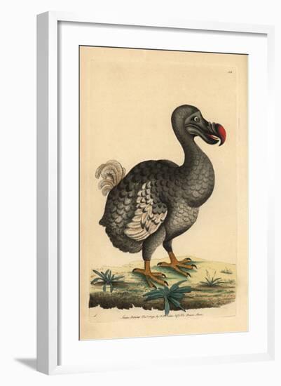 Dodo-null-Framed Giclee Print