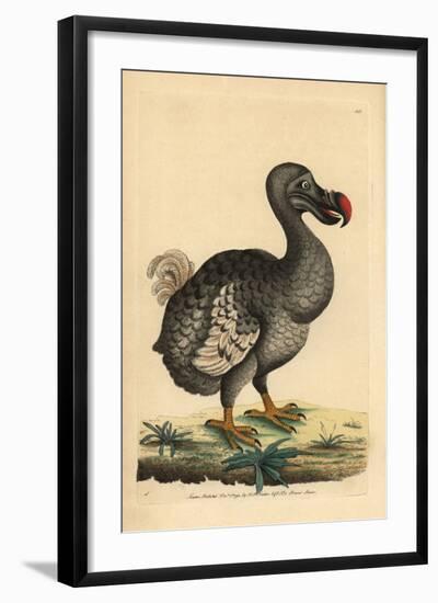 Dodo-null-Framed Giclee Print