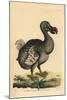 Dodo-null-Mounted Giclee Print