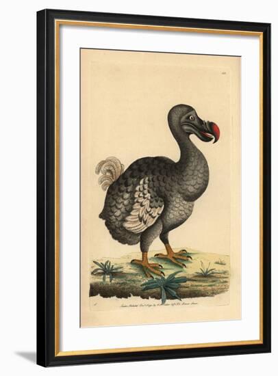 Dodo-null-Framed Giclee Print