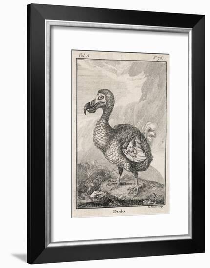 Dodo-null-Framed Art Print