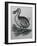 Dodo-null-Framed Giclee Print