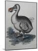 Dodo-null-Mounted Giclee Print