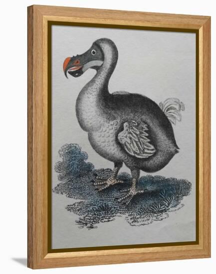 Dodo-null-Framed Premier Image Canvas