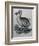 Dodo-null-Framed Giclee Print