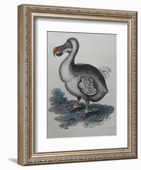 Dodo-null-Framed Giclee Print