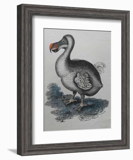 Dodo-null-Framed Giclee Print