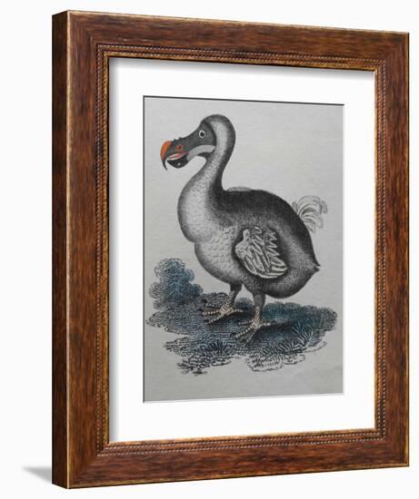 Dodo-null-Framed Giclee Print