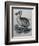 Dodo-null-Framed Giclee Print