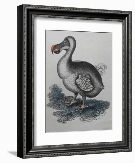 Dodo-null-Framed Giclee Print