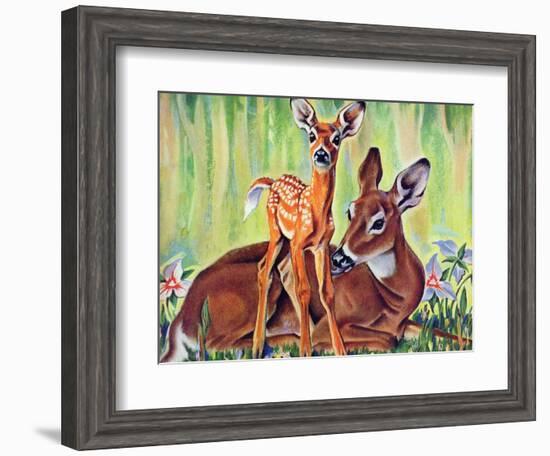 "Doe and Fawn in Forest," June 1, 1940-Paul Bransom-Framed Giclee Print