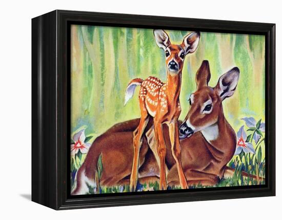 "Doe and Fawn in Forest," June 1, 1940-Paul Bransom-Framed Premier Image Canvas