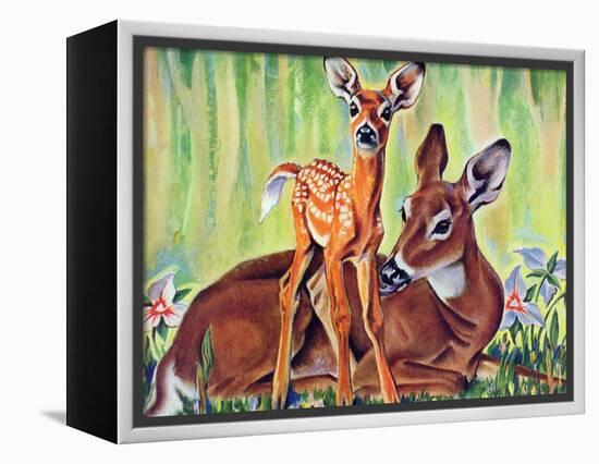 "Doe and Fawn in Forest," June 1, 1940-Paul Bransom-Framed Premier Image Canvas