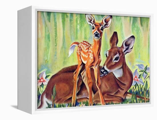 "Doe and Fawn in Forest," June 1, 1940-Paul Bransom-Framed Premier Image Canvas