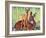 "Doe and Fawn in Forest," June 1, 1940-Paul Bransom-Framed Giclee Print