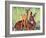 "Doe and Fawn in Forest," June 1, 1940-Paul Bransom-Framed Giclee Print