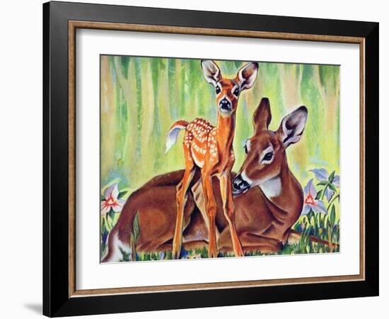 "Doe and Fawn in Forest," June 1, 1940-Paul Bransom-Framed Giclee Print