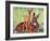 "Doe and Fawn in Forest," June 1, 1940-Paul Bransom-Framed Giclee Print