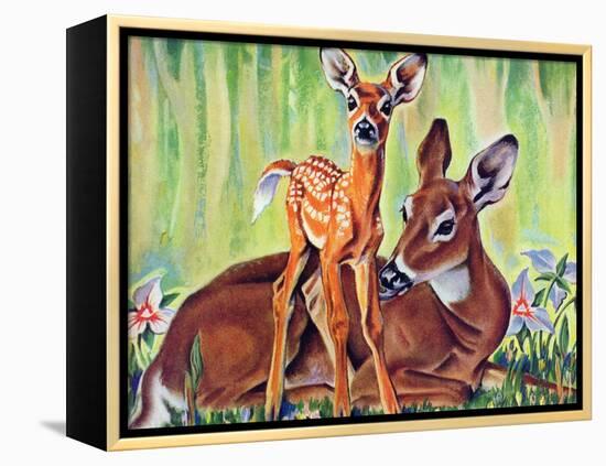 "Doe and Fawn in Forest," June 1, 1940-Paul Bransom-Framed Premier Image Canvas