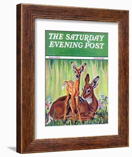 "Doe and Fawn in Forest," Saturday Evening Post Cover, June 1, 1940-Paul Bransom-Framed Giclee Print