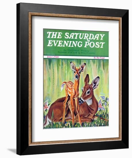 "Doe and Fawn in Forest," Saturday Evening Post Cover, June 1, 1940-Paul Bransom-Framed Giclee Print