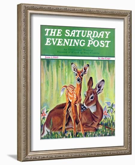 "Doe and Fawn in Forest," Saturday Evening Post Cover, June 1, 1940-Paul Bransom-Framed Giclee Print