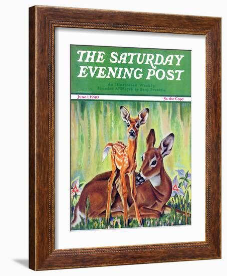 "Doe and Fawn in Forest," Saturday Evening Post Cover, June 1, 1940-Paul Bransom-Framed Giclee Print