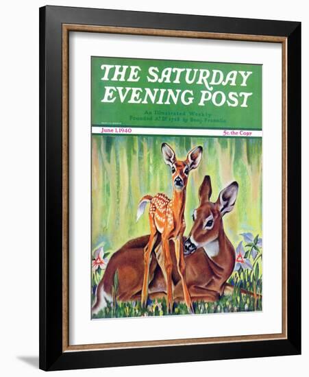 "Doe and Fawn in Forest," Saturday Evening Post Cover, June 1, 1940-Paul Bransom-Framed Giclee Print