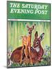 "Doe and Fawn in Forest," Saturday Evening Post Cover, June 1, 1940-Paul Bransom-Mounted Giclee Print