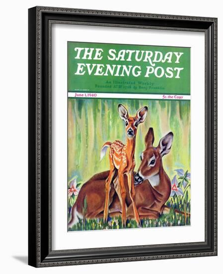 "Doe and Fawn in Forest," Saturday Evening Post Cover, June 1, 1940-Paul Bransom-Framed Giclee Print