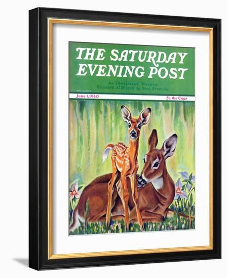 "Doe and Fawn in Forest," Saturday Evening Post Cover, June 1, 1940-Paul Bransom-Framed Giclee Print