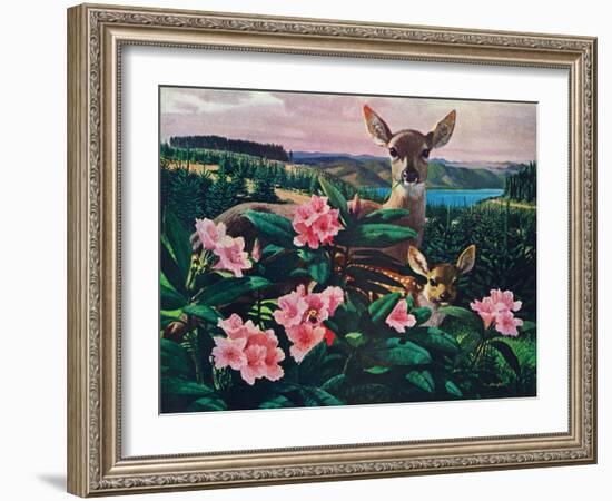 Doe and Fawn-Stan Galli-Framed Giclee Print