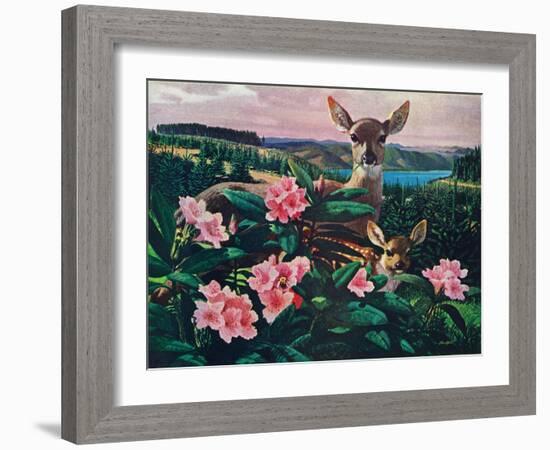 Doe and Fawn-Stan Galli-Framed Giclee Print