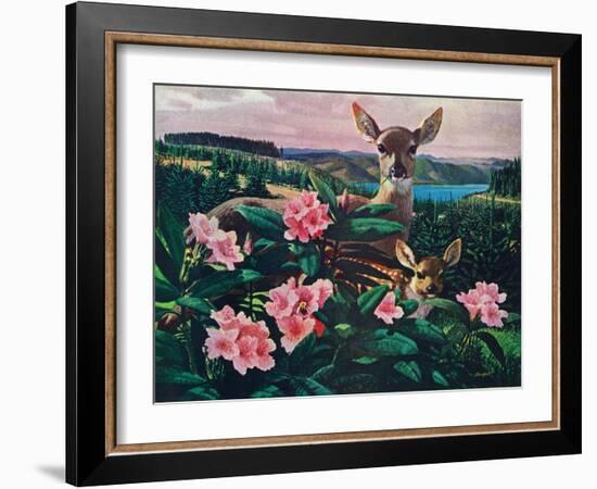 Doe and Fawn-Stan Galli-Framed Giclee Print