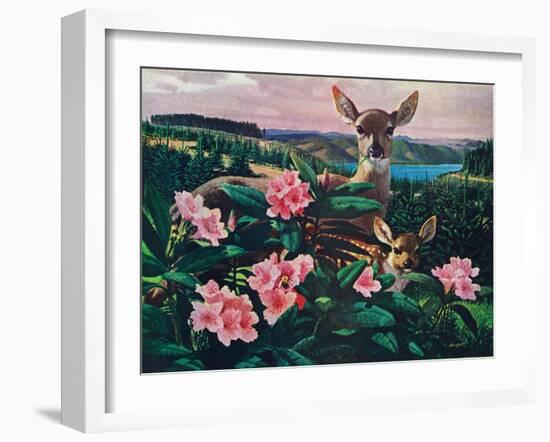 Doe and Fawn-Stan Galli-Framed Giclee Print